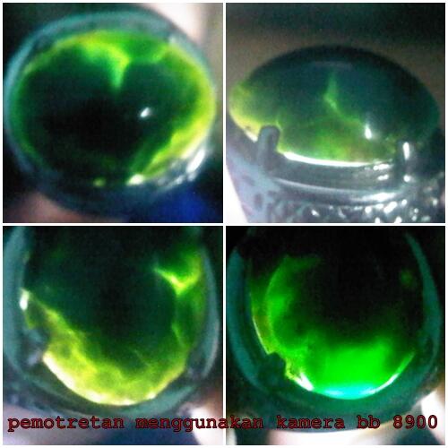 indahnya bacan doko serat kura, sedap sekali seratnya | harga masuk