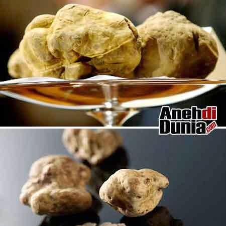 Jenis Jenis Tanaman Atau Tumbuhan Yang Bernilai Jual Tinggi / Mahal !