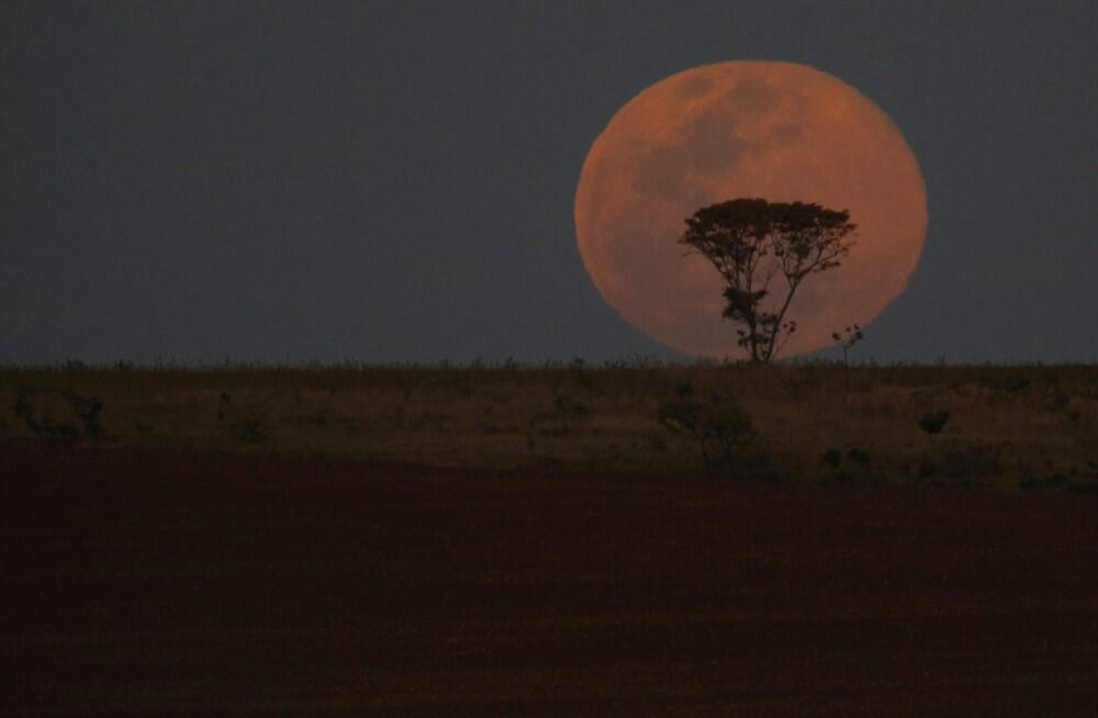 Indahnya &quot; Supermoon 10 Agustus 2014 &quot;, dilihat dari berbagai belahan Dunia