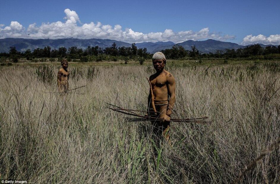 Eksotisme Papua Dalam Festival Lembah Baliem