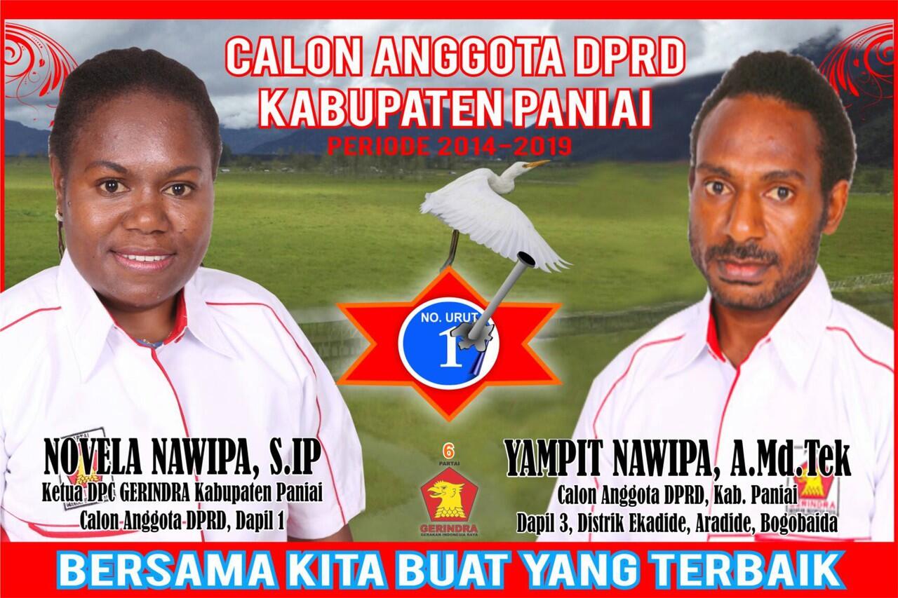 INILAH SEBENARNYA NOVELA NAWIPA ( SAKSI PRABOWO TANGGAL 12 - 08 -2014)