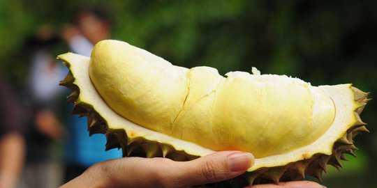 4 Durian langka yang melegenda