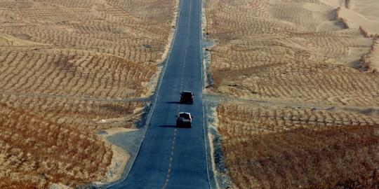 Beberapa Fakta Tentang sosok Ayah tercinta 