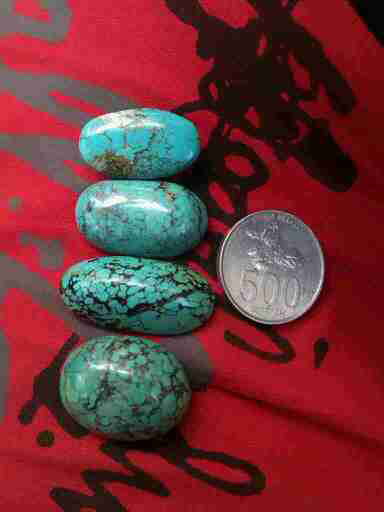 pirus persia ada 4 pcs cakep cakep gan
