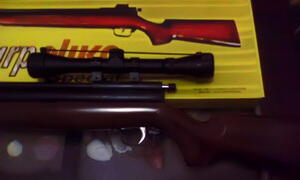 Senapan ANing Sharp Murah