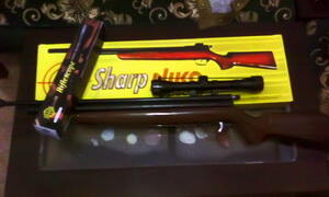Senapan ANing Sharp Murah