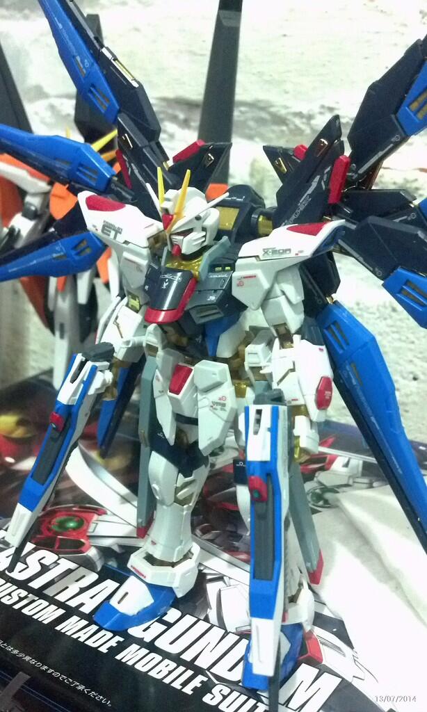 WTS RG strike freedom gundam bandai