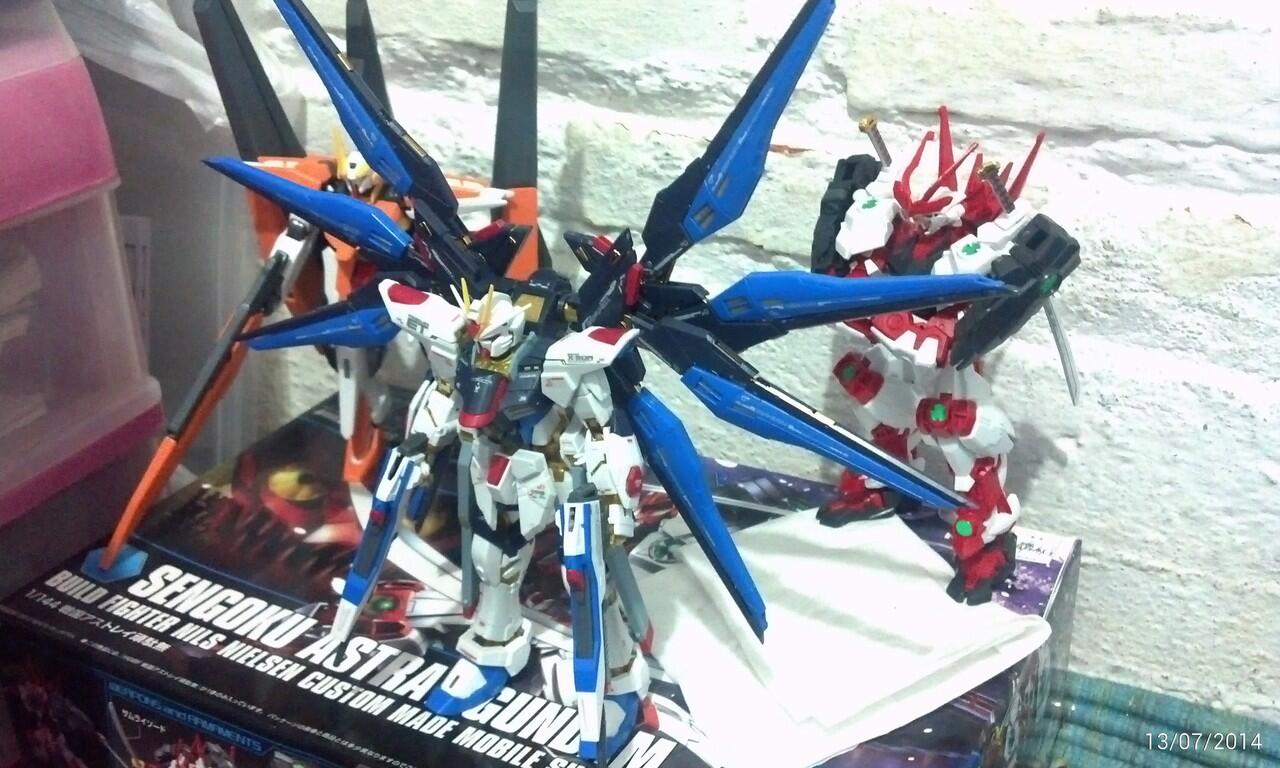 WTS RG strike freedom gundam bandai