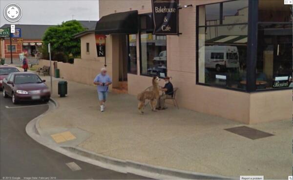 Foto Terabsurd Saat Patroli Google
