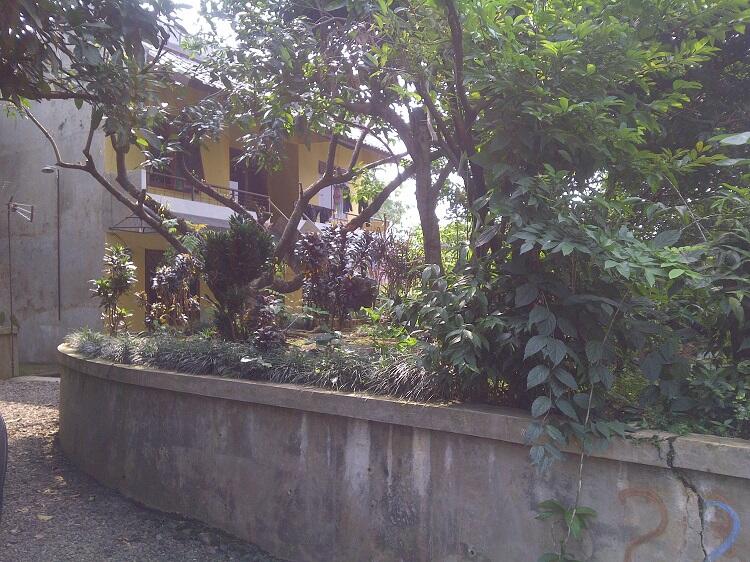 Rumah Asri Dengan Halaman Luas Dan Pepohonan Rindang