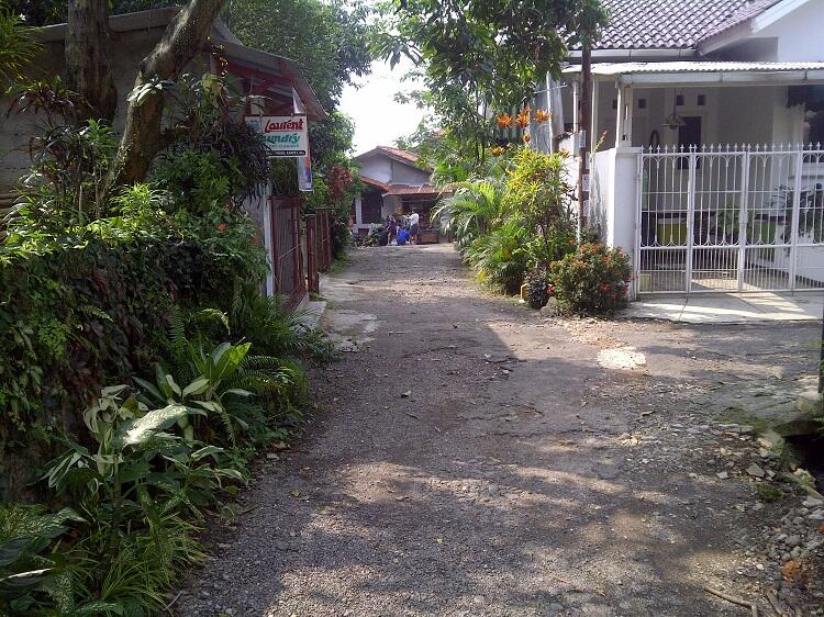 Rumah Asri Dengan Halaman Luas Dan Pepohonan Rindang