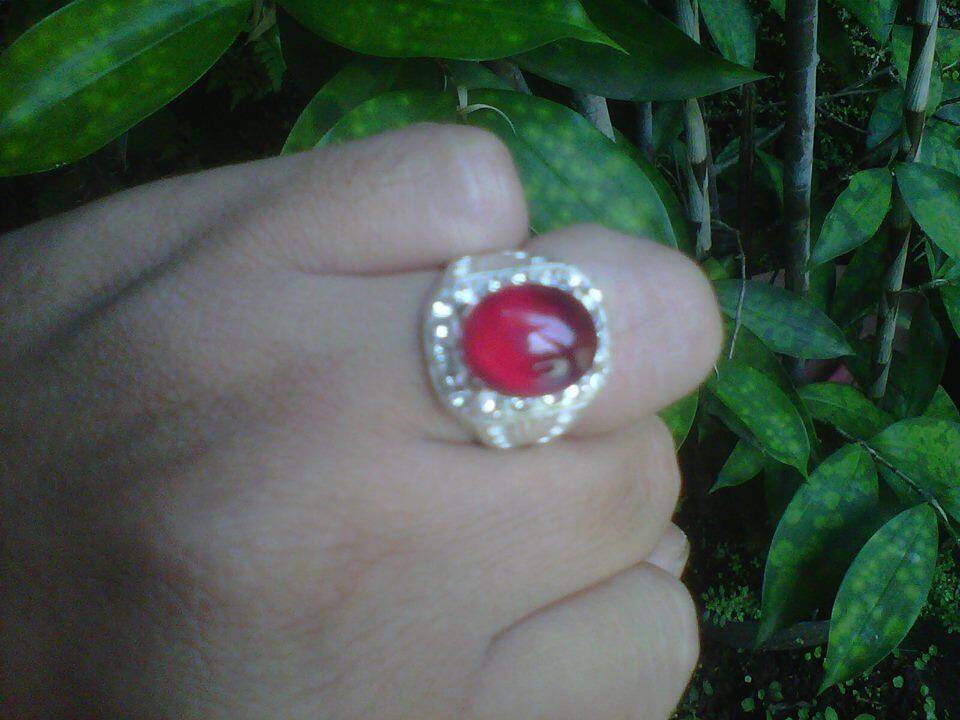 ۩۩۩ Sarana Syariat untuk kehidupan ۩۩۩
