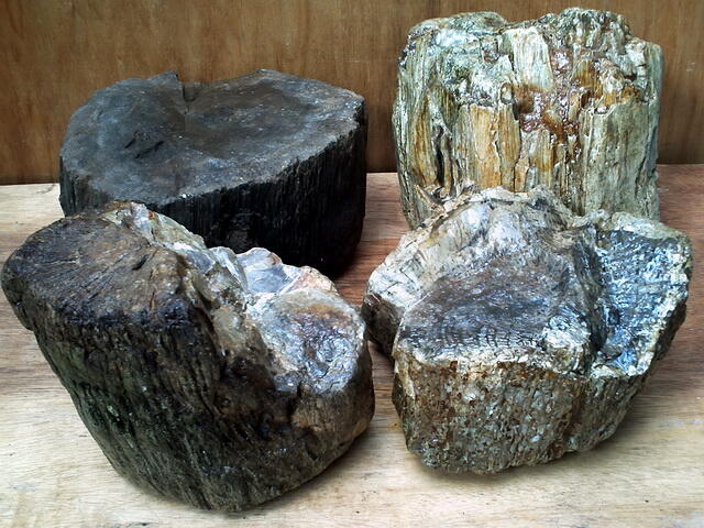 Batu Alam Hiasan Sempur, Fosil, Petrified Wood Borongan 4 Buah Total >30 kg