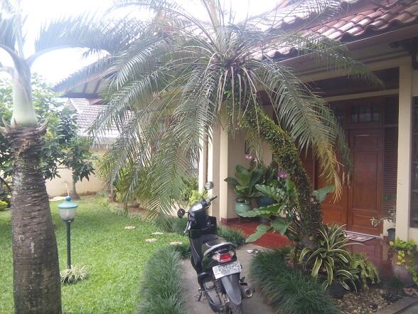 dijual rumah hunian nyaman untuk keluarga