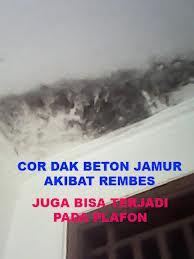 spesialis perbaikan rumah bocor,atap,talang,ruko,rukan,kantor,gedung,dll