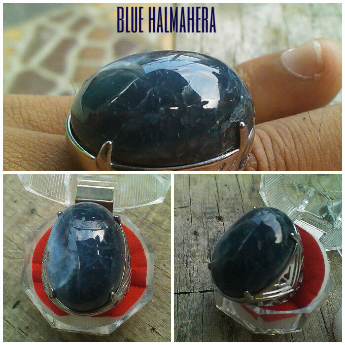 for sale BACAN BLUE HALMAHERA big size