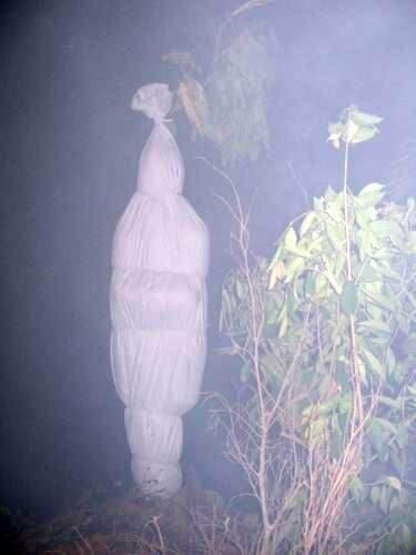 HAL YANG ANE LAKUIN SAAT LAGI NAIK GUNUNG (Kisah Nyata Gan!)