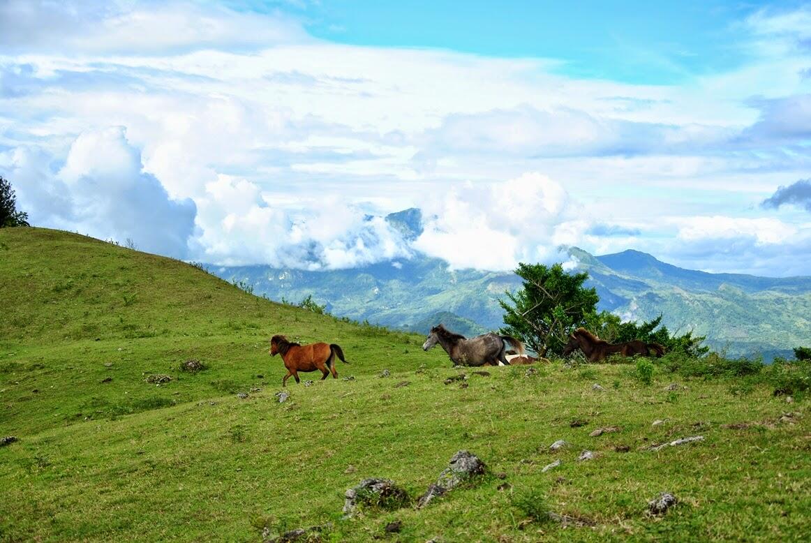 Menengok Indahnya Wisata di Batas Timur Pulau Timor