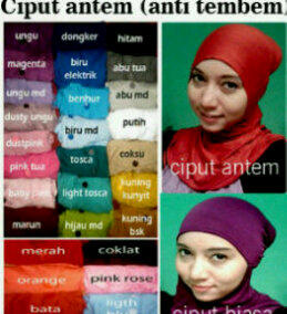 Jilbab, Pasmina dan Kerudung