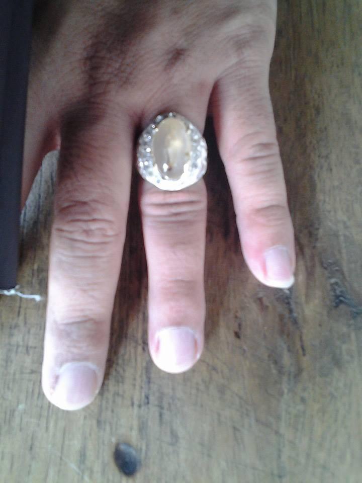 LANGKA !!!!! Batu Akik Combong Bergambar KUJANG