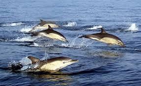 Surga Di Lampung Yang Belum Diketahuin