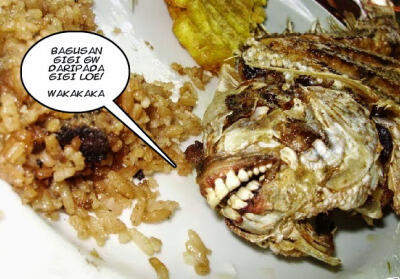 IKAN-IKAN yang BERGIGI seperti MANUSIA