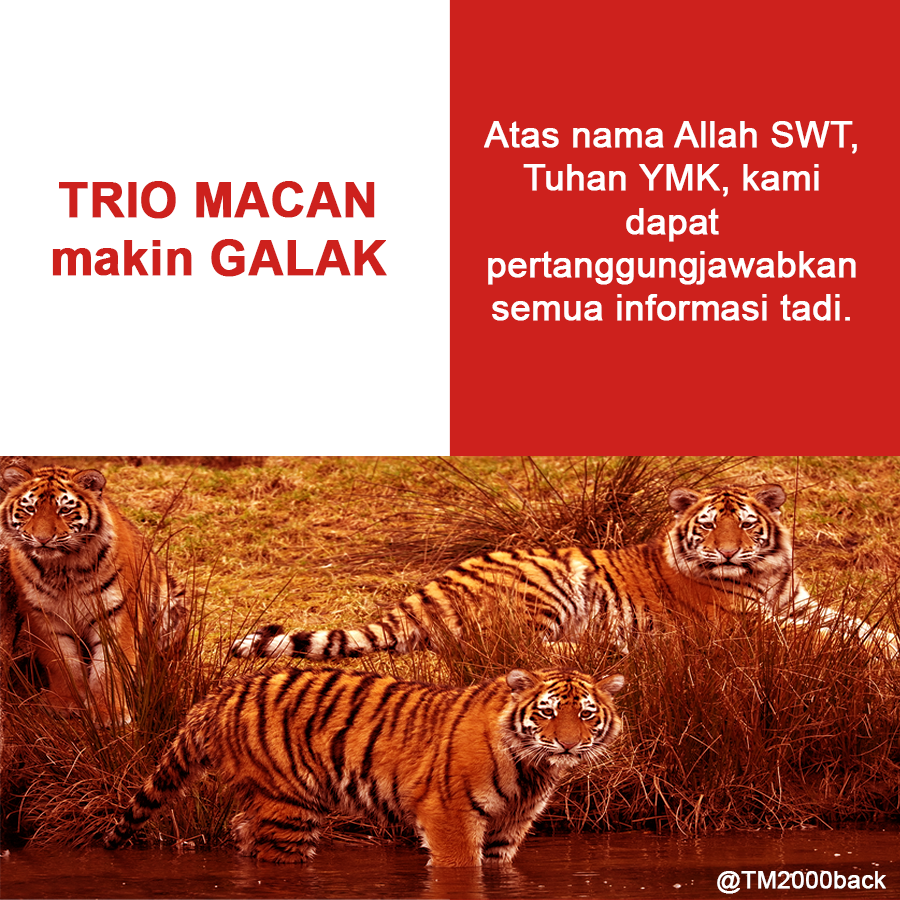 TRIO MACAN adalah PARA RONIN