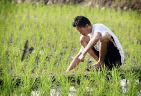 Yang Masa Kecilnya Suka Main di Sawah! Masuk!