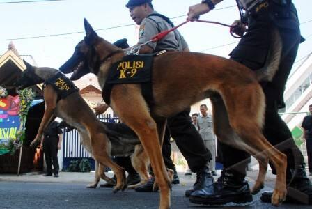 2 senjata paling ampuh menghadapi geng Om Wowo 21-08-2014