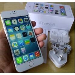 Tragis, Ingin Beli iPhone 6 MalahDibunuh