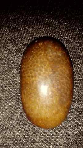 (BGS) Batu serat bambu , badar besi /lukulo, sisik