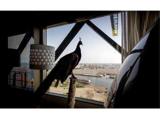 Menginap di Hotel Derek, Amsterdam