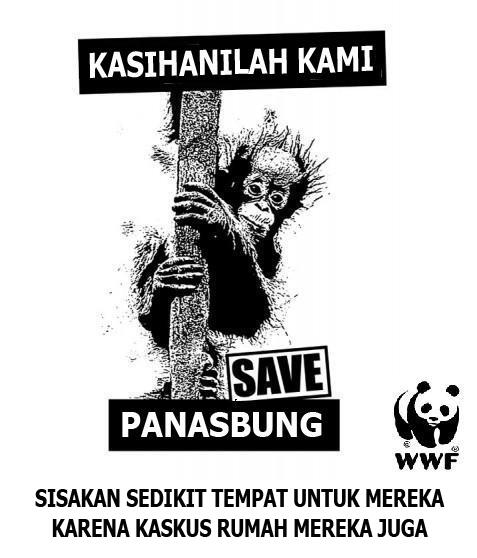 SAVE 