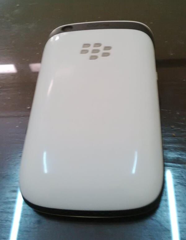 Blackberry Davis White Batangan, Bogor