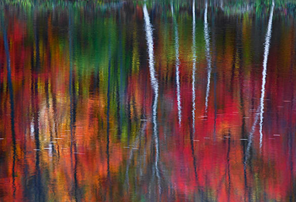 19 most expensive photographs