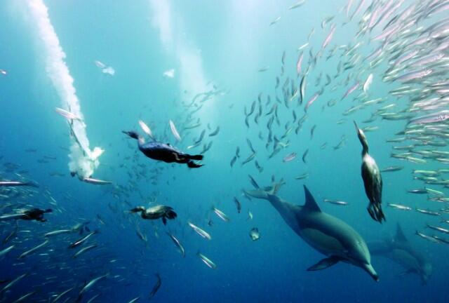 Foto-foto Menakjubkan Bumi Kita Yang Indah Oleh Lonely Planet