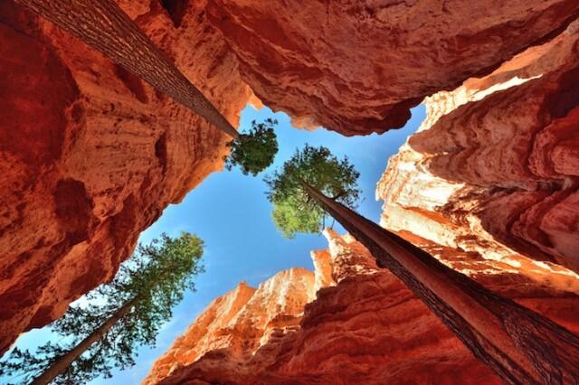 Foto-foto Menakjubkan Bumi Kita Yang Indah Oleh Lonely Planet