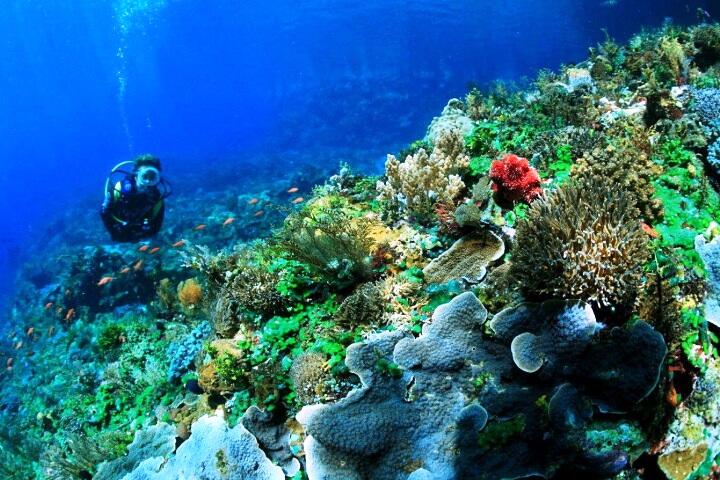 (Surga Yang Terlupakan) Raja Ampat Terkendala Listrik