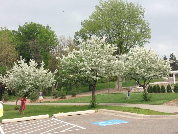 Mengenal Minnesota &quot;Tanah Sepuluh Ribu Danau&quot;