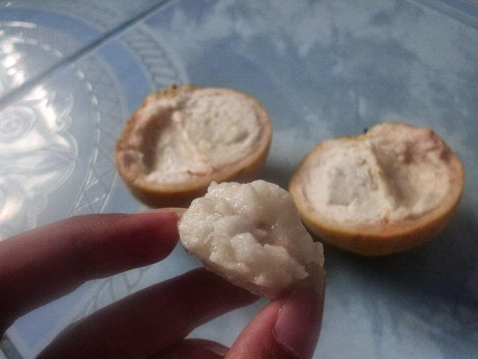 BUAH-BUAH YANG JARANG AGAN TAHU. cuss langsung tkp --&amp;gt;