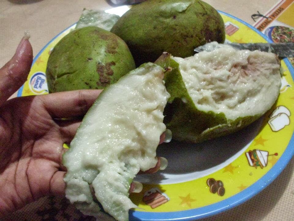 BUAH-BUAH YANG JARANG AGAN TAHU. cuss langsung tkp --&amp;gt;