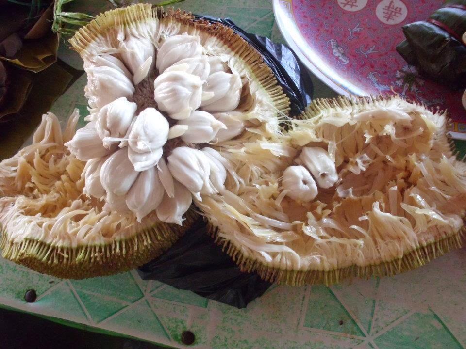 BUAH-BUAH YANG JARANG AGAN TAHU. cuss langsung tkp --&amp;gt;