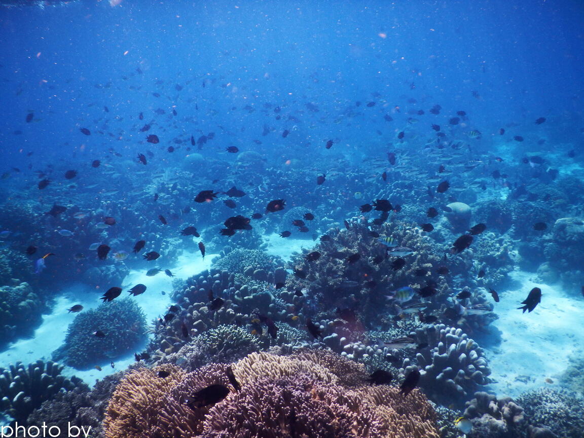 &#91;FR&#93; Keindahan Pulau Baling - Baling &amp; Pulau Lihaga di Sulawesi Utara