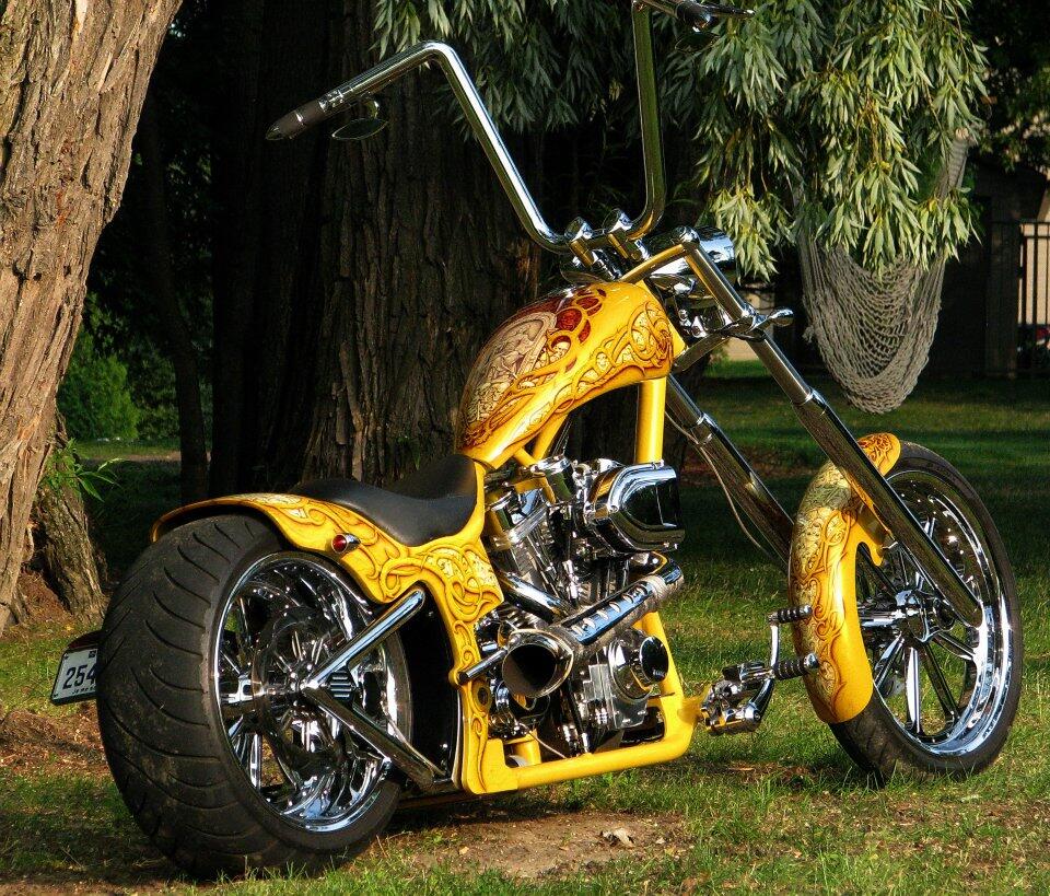 photo collection harley davidson ready contest