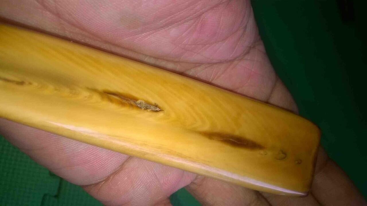 Pipa Rokok Taring Ikan Paus ( Rare Item )