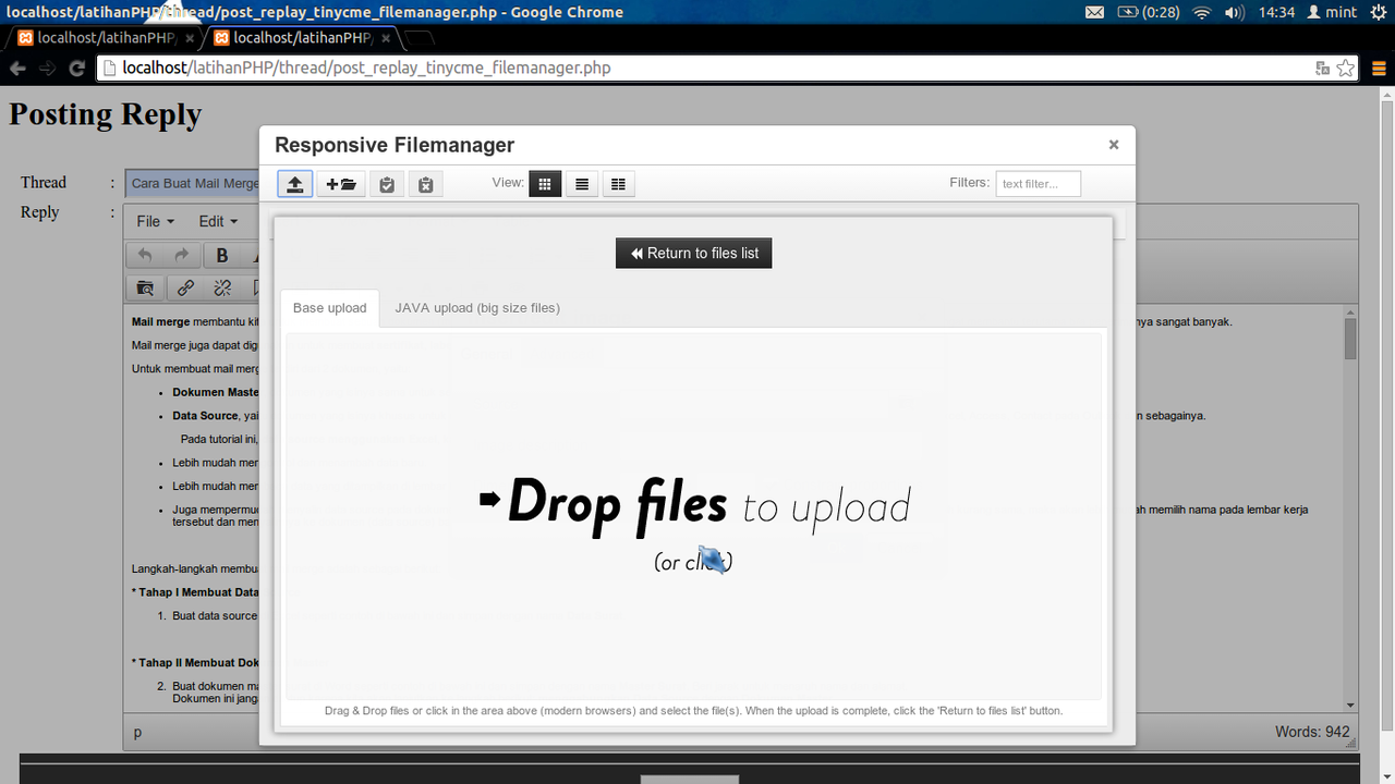 Download file response