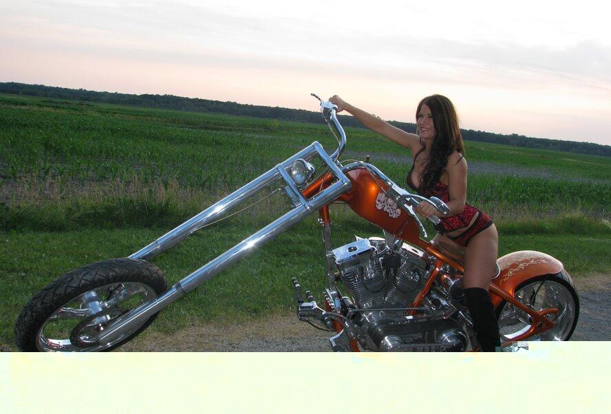 photo collection harley davidson ready contest