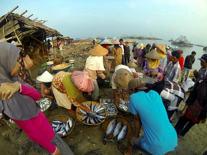 &#91; Ajakan &#93; Semi - Backpacker menuju Pulau Peucang, Ujung Kulon 5 - 7 September 2014