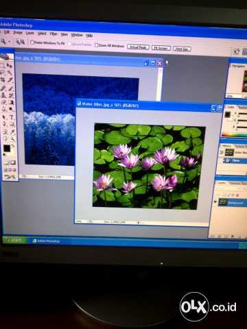 Pentium 4 IV murah tapi tidak murahan, normal dan lancar