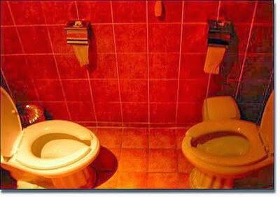 &#91;Keren&#93; Ragam Toilet Dengan Sensasi Luar Biasa